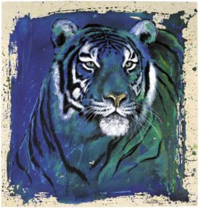 Kunstgrafik Eyes of the Tiger